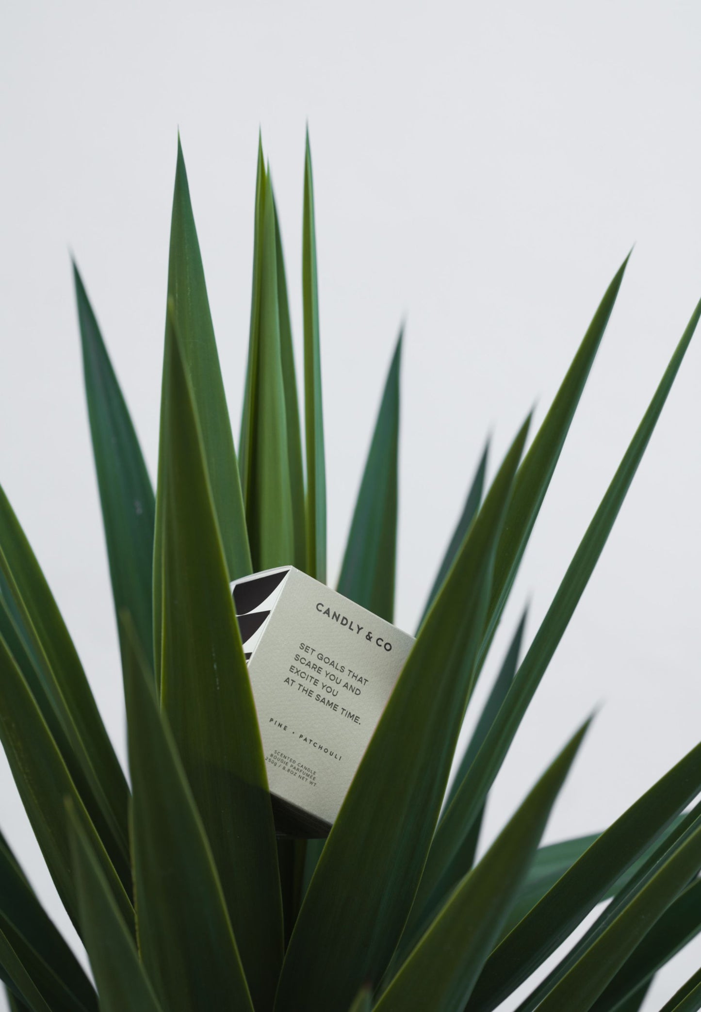 Świeca zapachowa No.4 Set goals that scare you