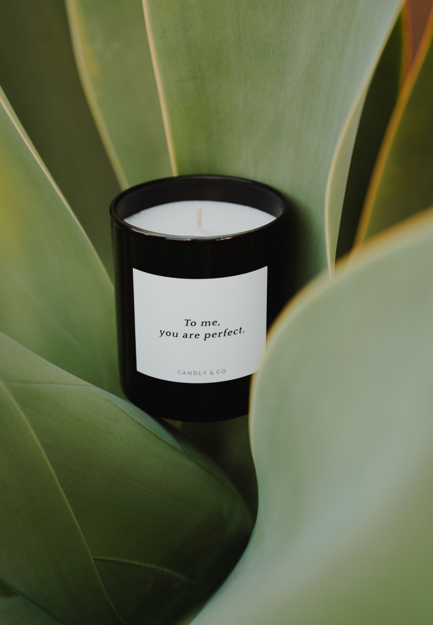 Świeca zapachowa No.8 To me, you are perfect.